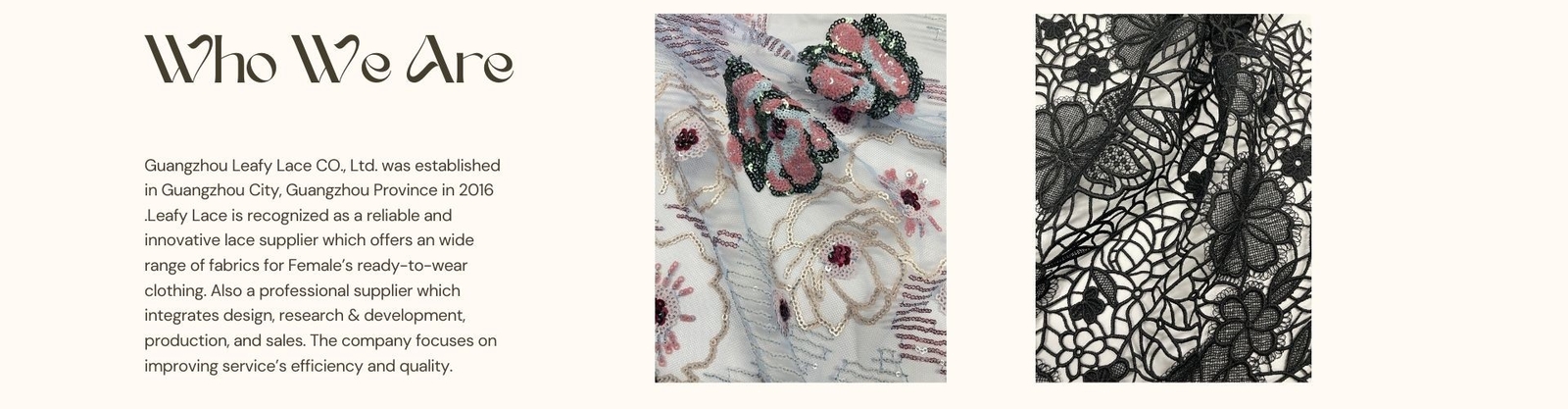 tissu floral de la dentelle 3D