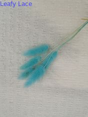 La dentelle de bulle a tricoté le tissu de bout droit en ivoire de pli