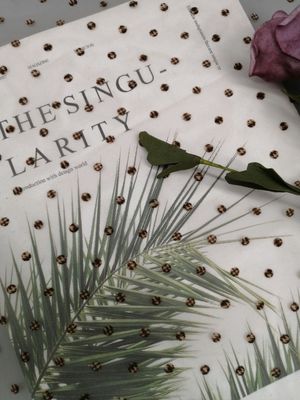 Flocked Voile Tulle Printed Lace Fabric Little Girl Dress Embroidery