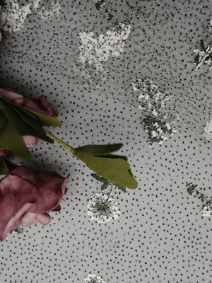 Colored Foil Printed Embroidered Lace Fabric Shimmer Tulle