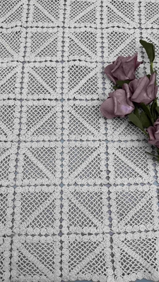 100% coton ivoire GEO Tissu de dentelle brodée de haute qualité pleine largeur pour vêtements de mode pour femmes