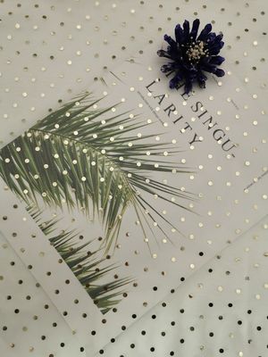 Tissu métallique en ivoire de scintillement de Tulle Mesh Foil Printed Polka Dot