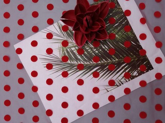 Grande polka rouge Dot Tulle Flocked Mesh Fabric