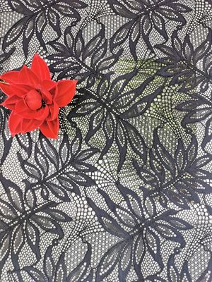 Tissu de dentelle de feston de cil de Chantilly