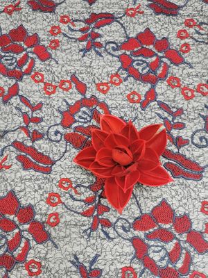 Grande robe femelle colorée florale rouge de tissu de dentelle de crochet de broderie