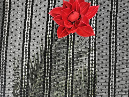Tissu de dentelle de Mesh Pleated Dot Embroidery Striped