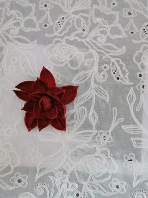 Le coton 100% a attaché le tissu brodé de dentelle d'oeillet pour l'enfant