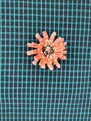 Le tissu élastique de dentelle de bout droit a tricoté la dentelle d'Elastane de chemise de tissu de maille