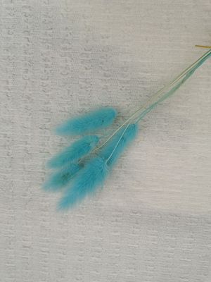 La dentelle de bulle a tricoté le tissu de bout droit en ivoire de pli