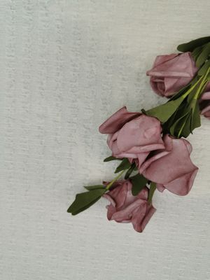 La dentelle de bulle a tricoté le tissu de bout droit en ivoire de pli