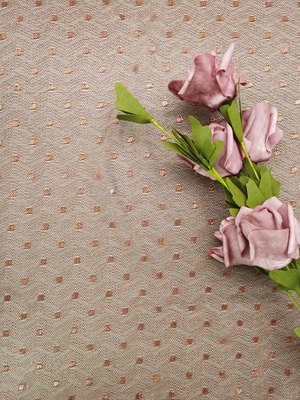 La couleur de Brown a brodé la dentelle métallique Dot Lace léger de Tulle de tissu de dentelle